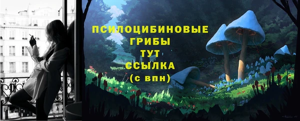 стафф Балахна