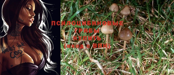 гашик Балабаново