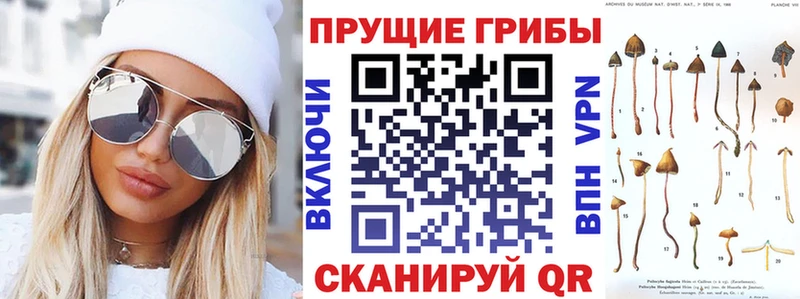как найти закладки  omg ссылки  Галлюциногенные грибы ЛСД  Сысерть 